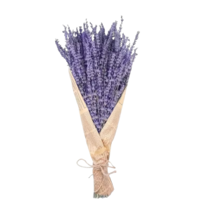 CPAP-store-usa-dried-lavender-flowers-bedroom-shower-sleep-apnea-dubai-abu-dhabi-oman-saudi-arabia-kuwait-bahrain-PNG